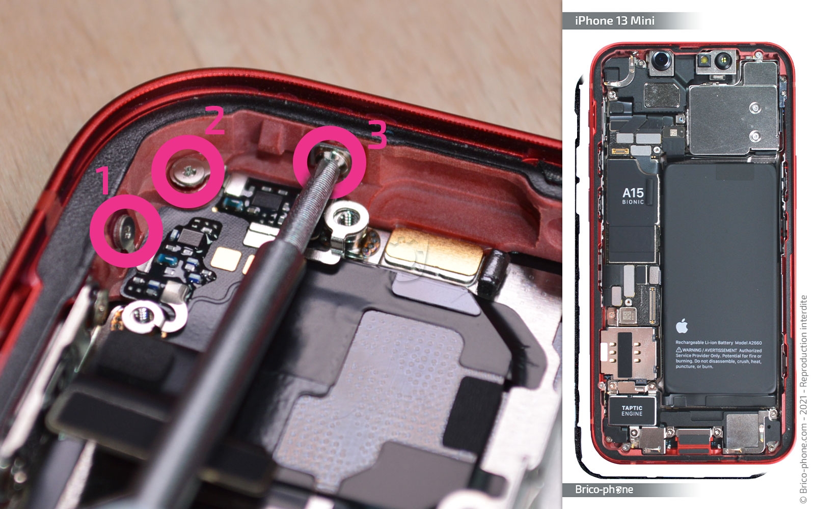 Démontage complet sur iPhone 13 Mini photo 1