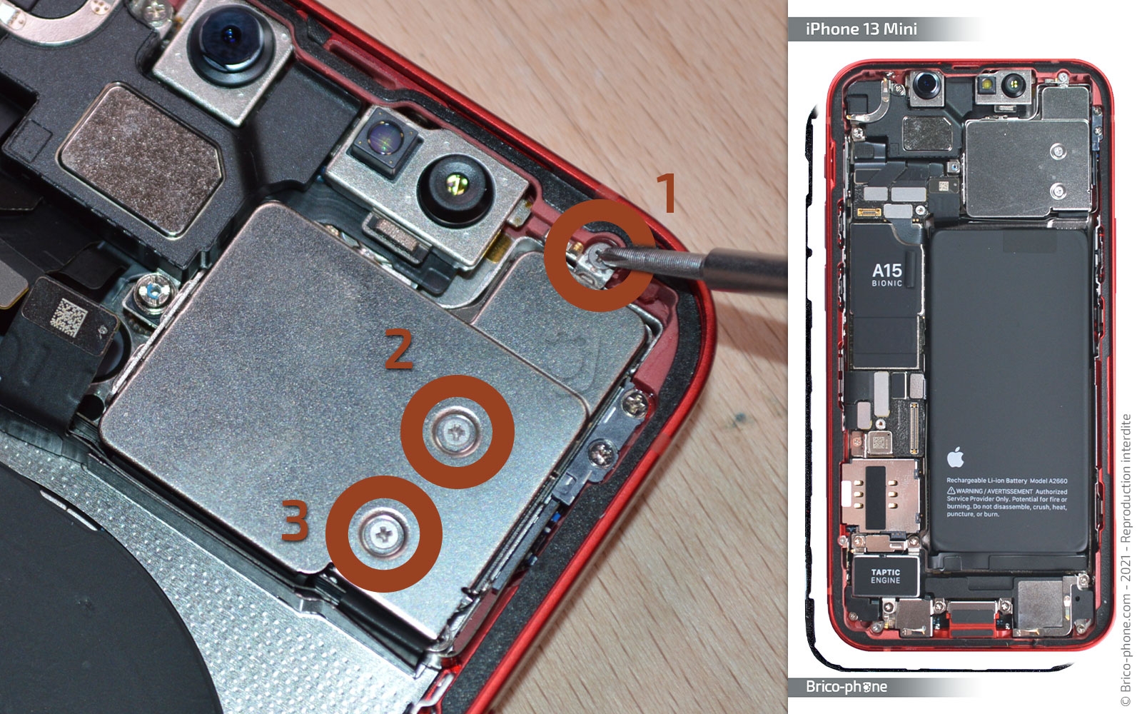 Démontage complet sur iPhone 13 Mini photo 1