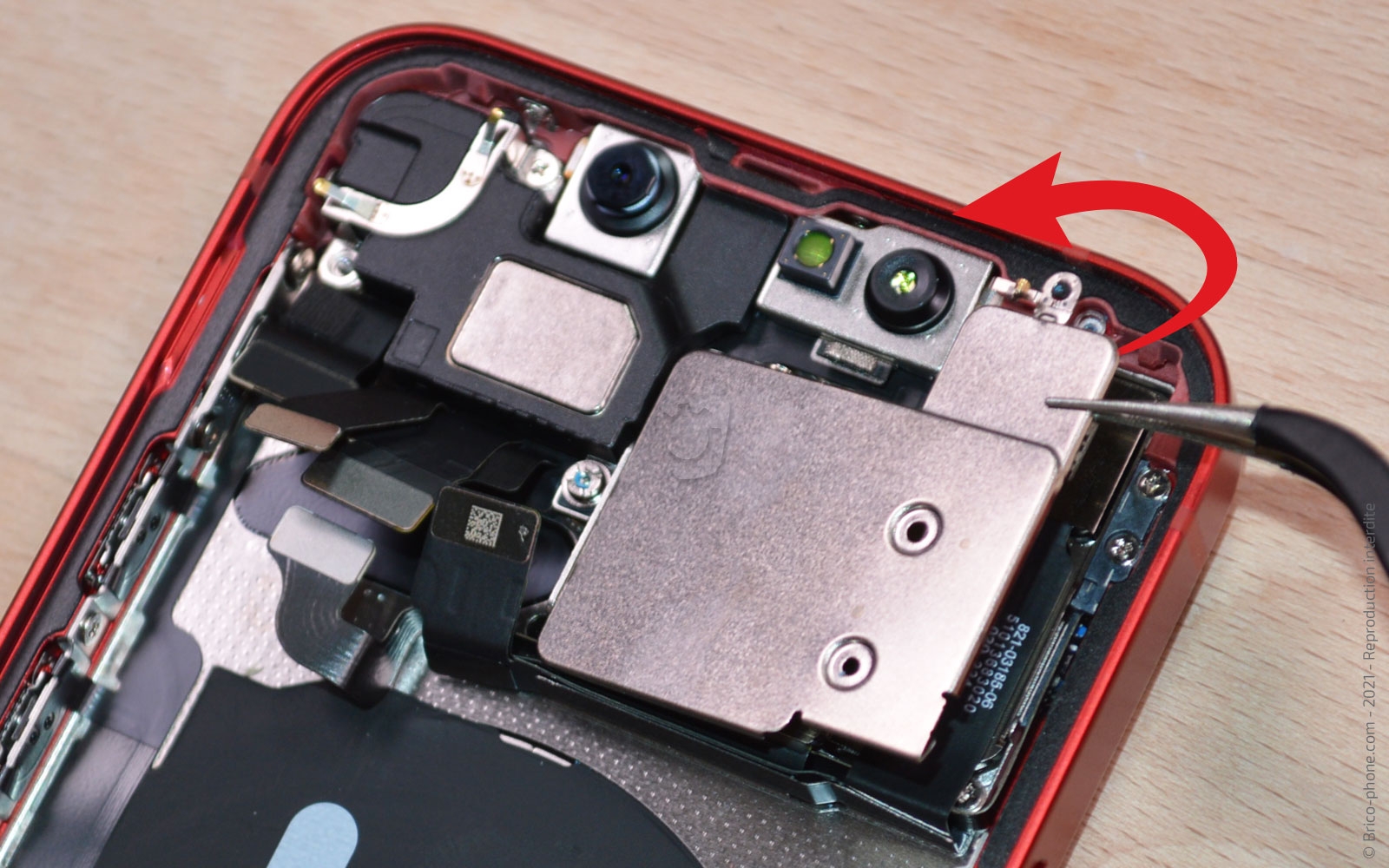 Démontage complet sur iPhone 13 Mini photo 2