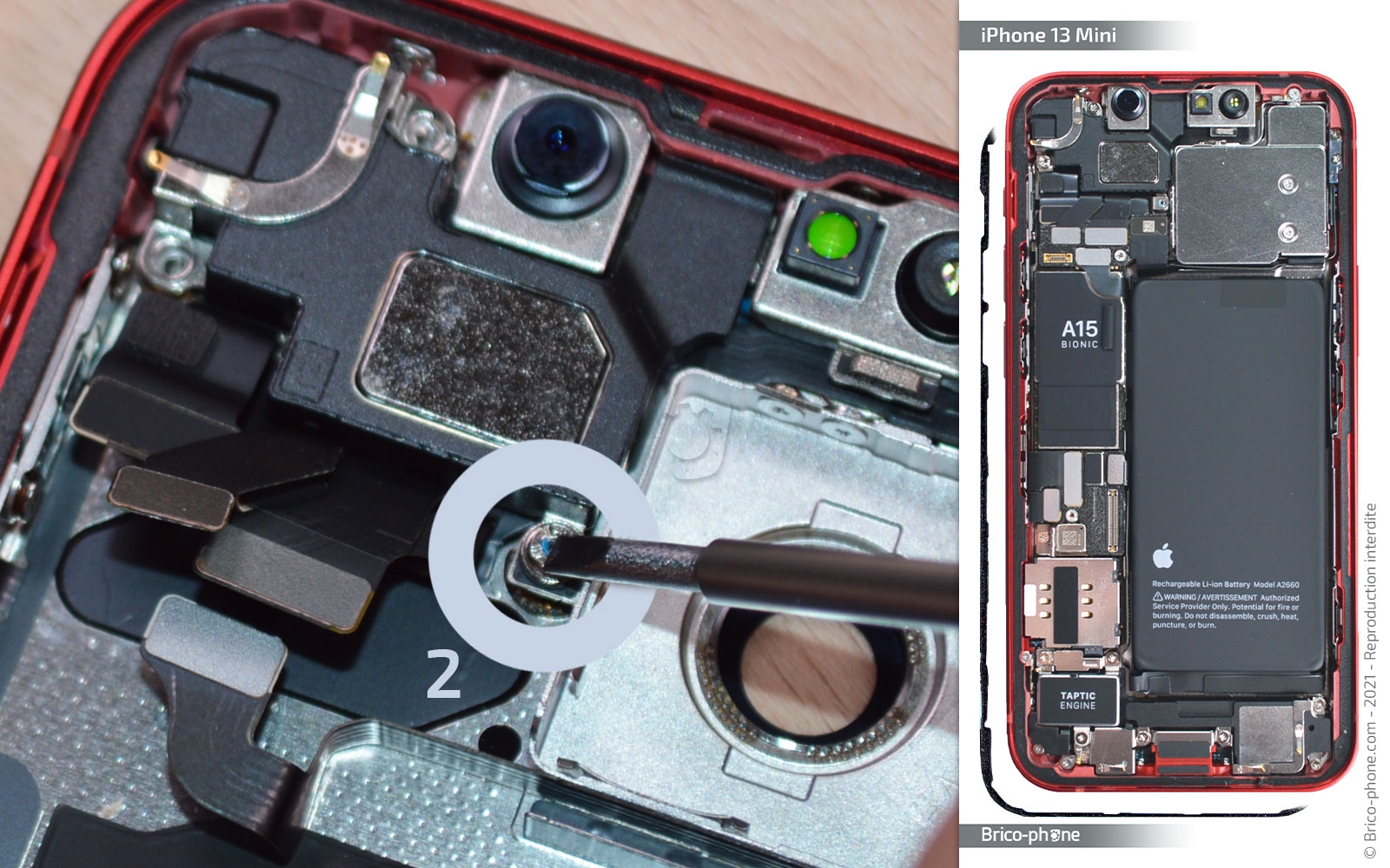Démontage complet sur iPhone 13 Mini photo 2