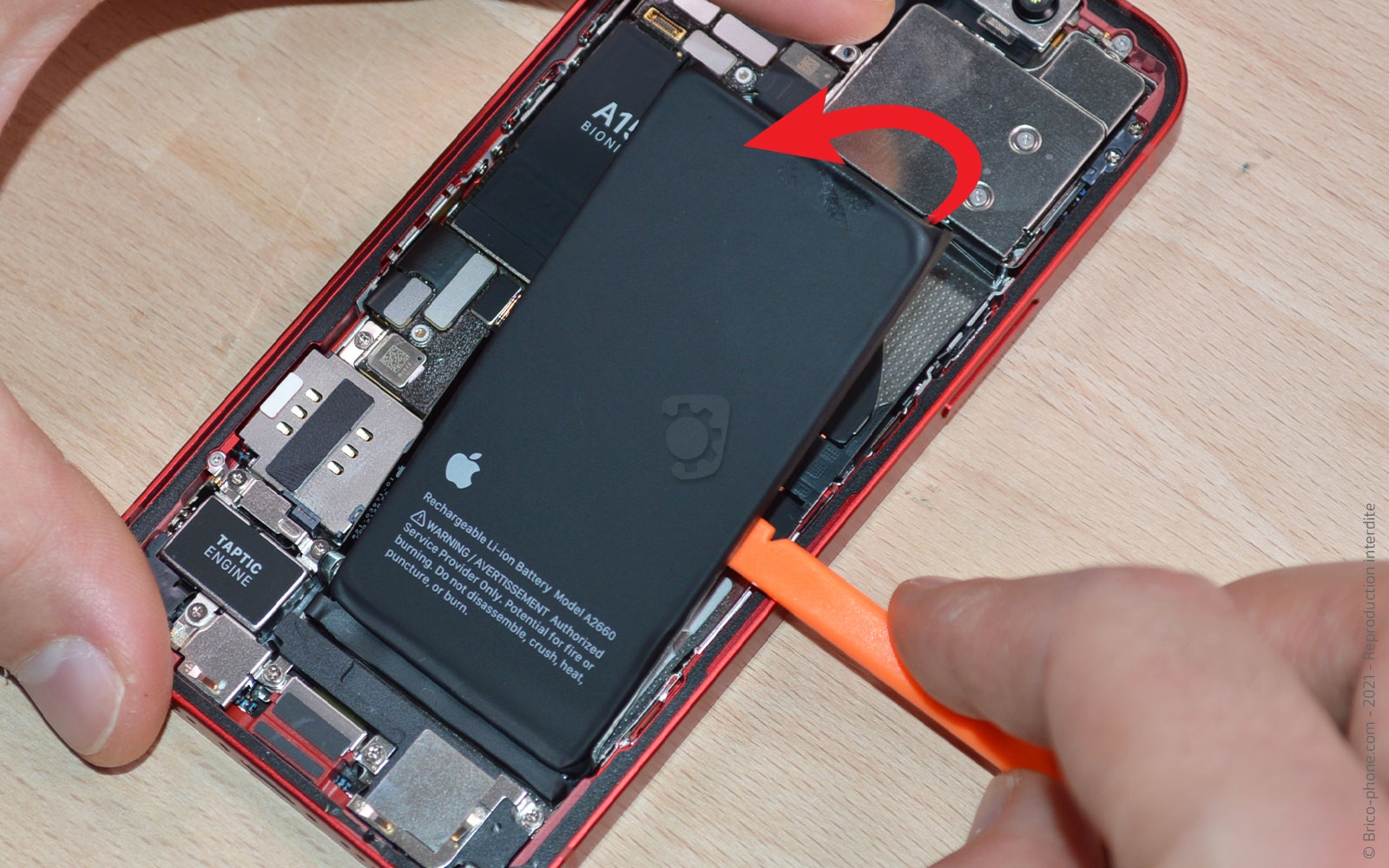 Démontage complet sur iPhone 13 Mini photo 1