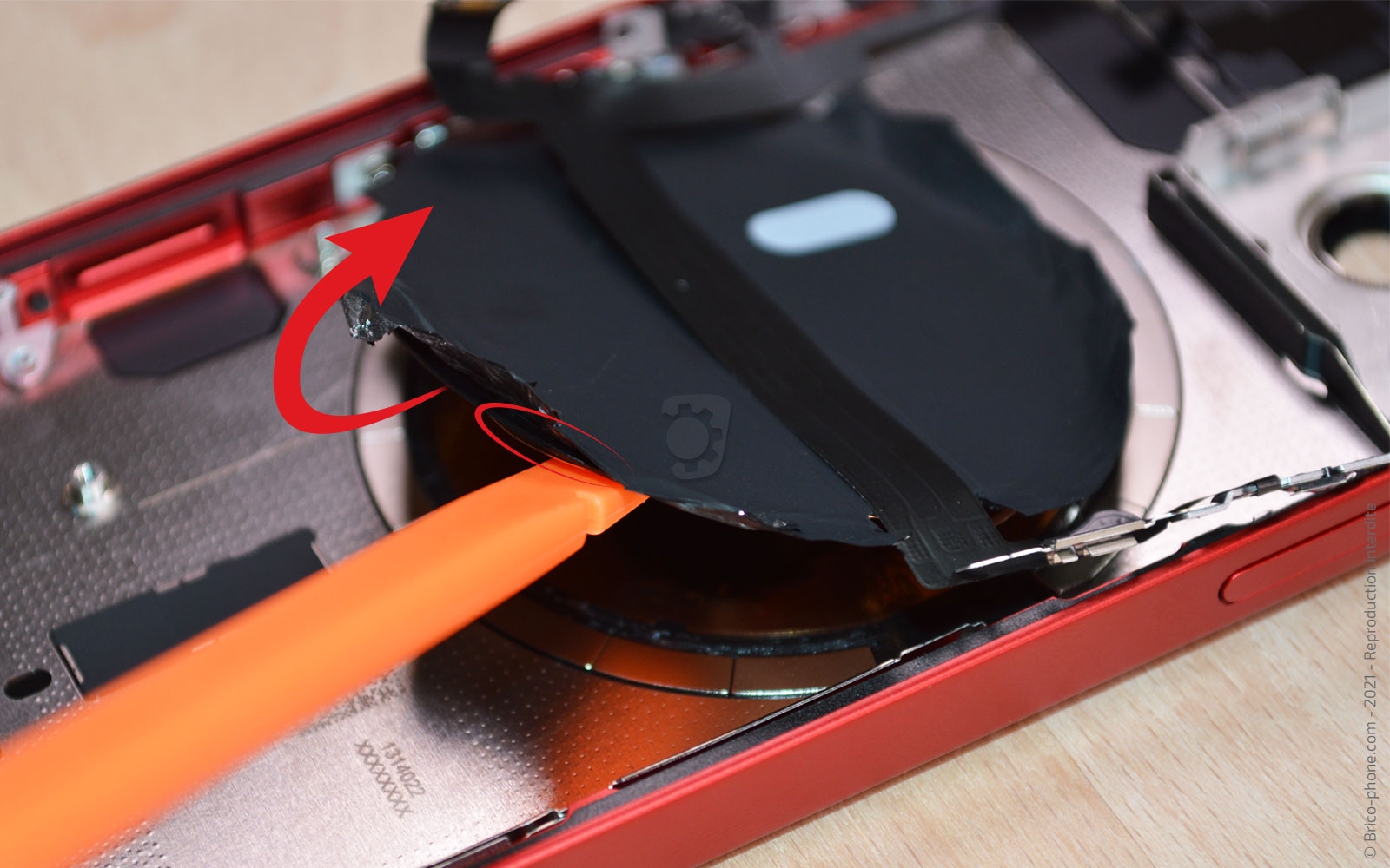 Démontage complet sur iPhone 13 Mini photo 2