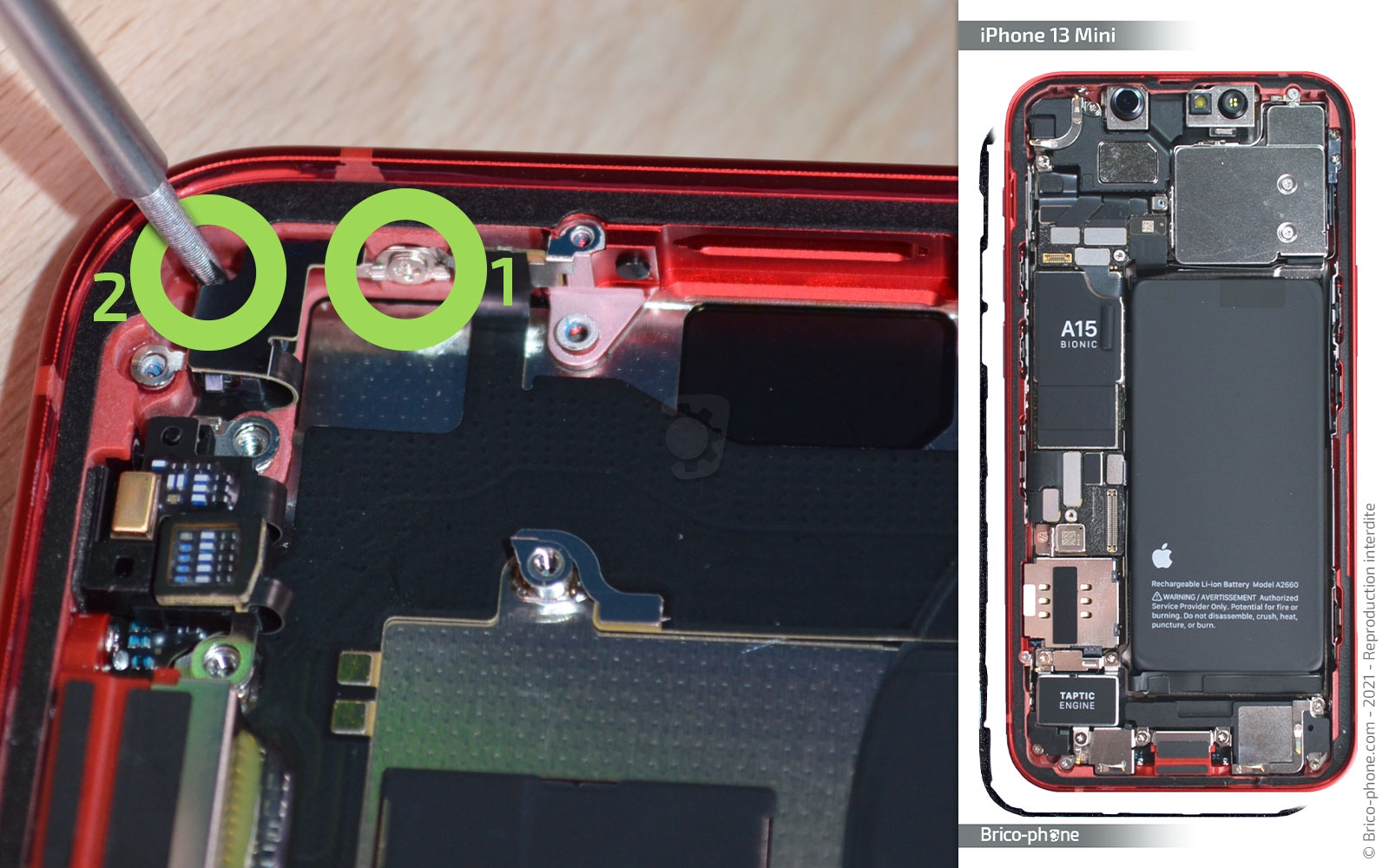 Démontage complet sur iPhone 13 Mini photo 1