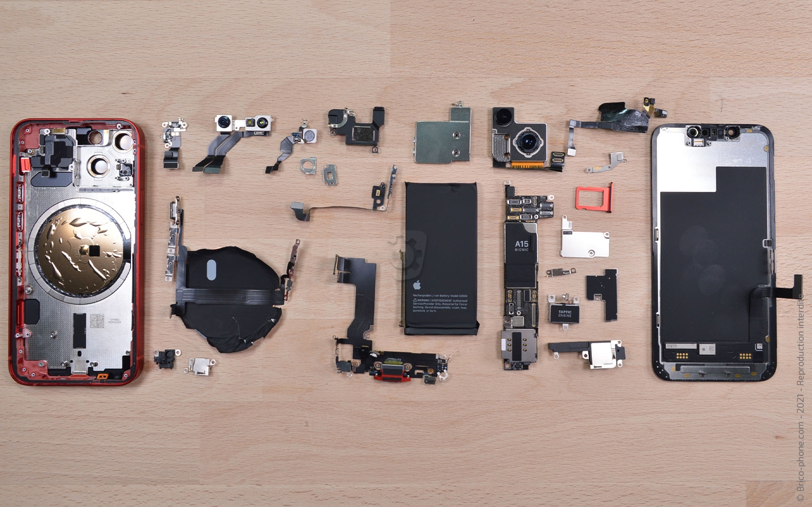 Démontage complet sur iPhone 13 Mini photo 1