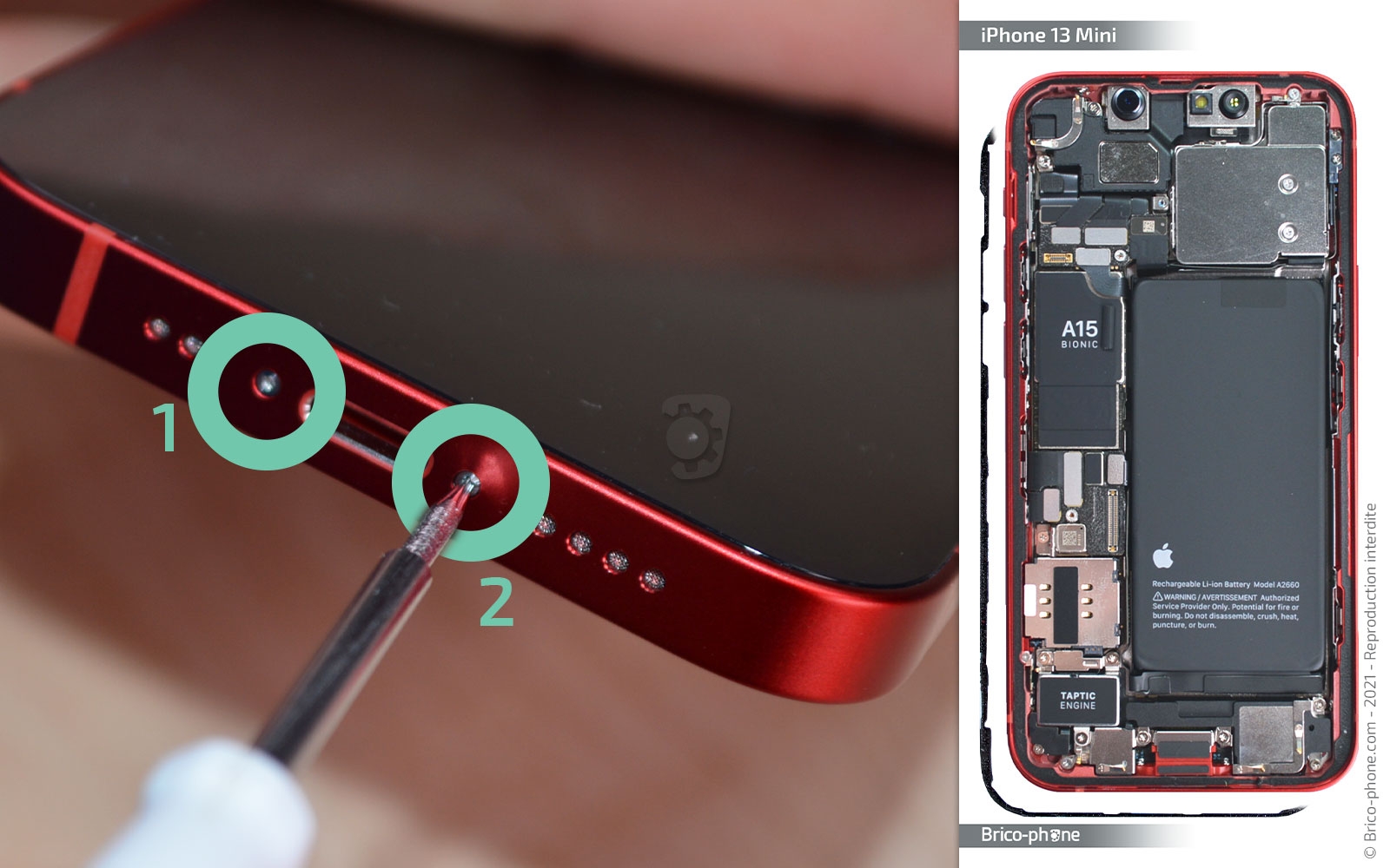 Changement de la batterie sur iPhone 13 Mini photo 1