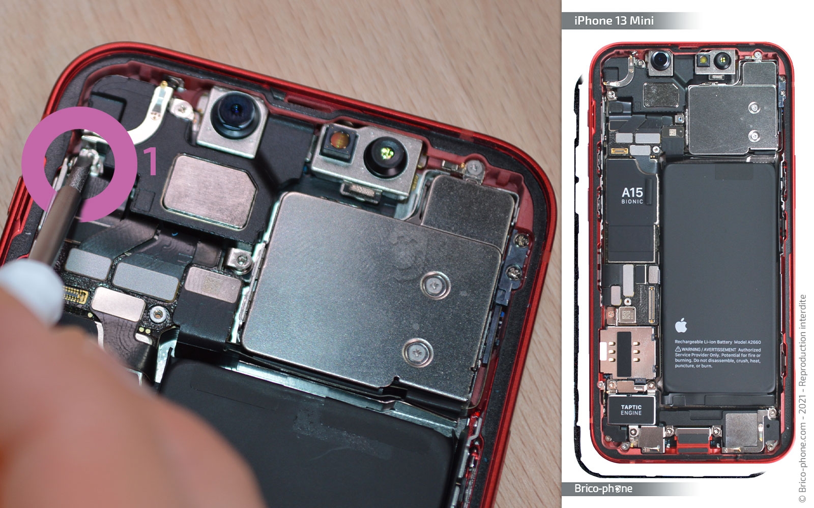 Changement du connecteur de charge sur iPhone 13 Mini photo 2