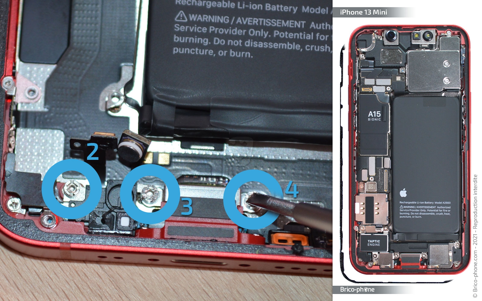 Changement du connecteur de charge sur iPhone 13 Mini photo 3