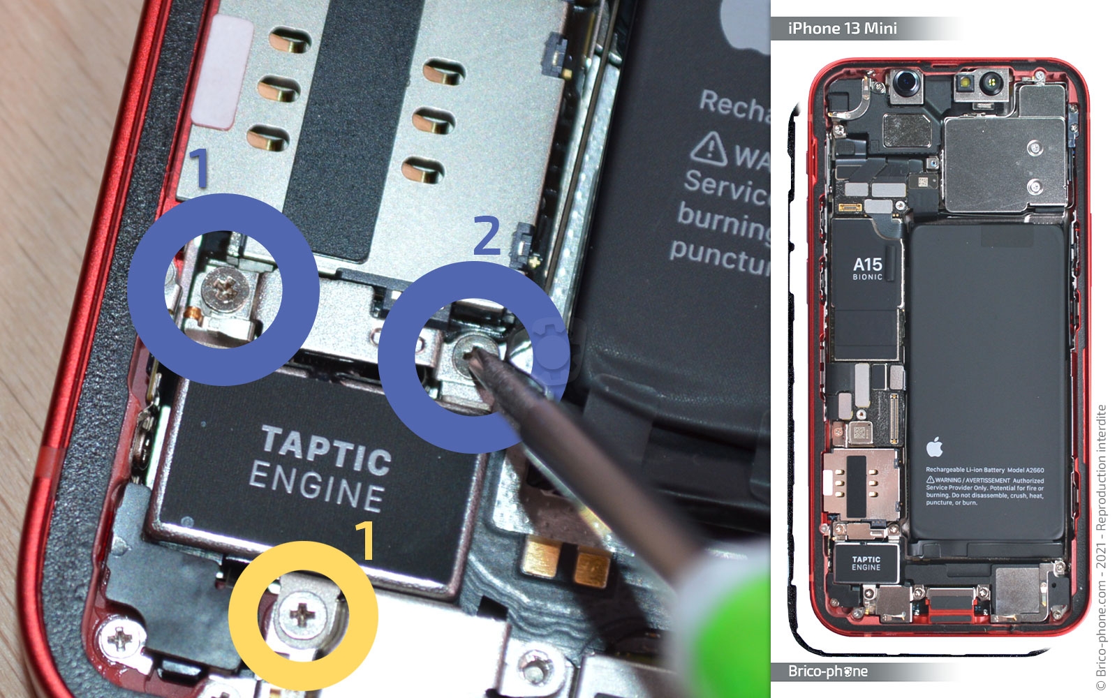 Changement du connecteur de charge sur iPhone 13 Mini photo 1