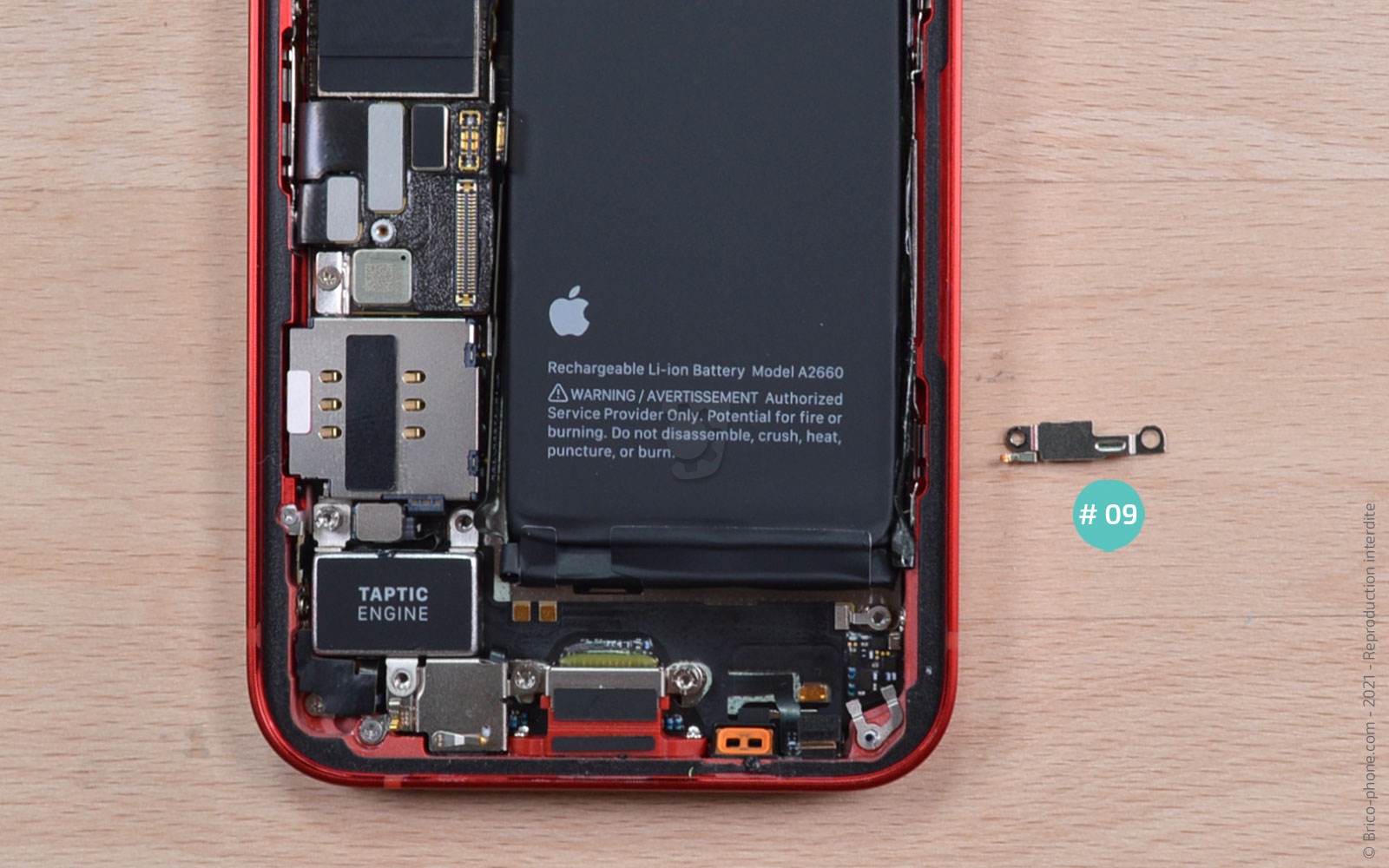 Changement du connecteur de charge sur iPhone 13 Mini photo 3