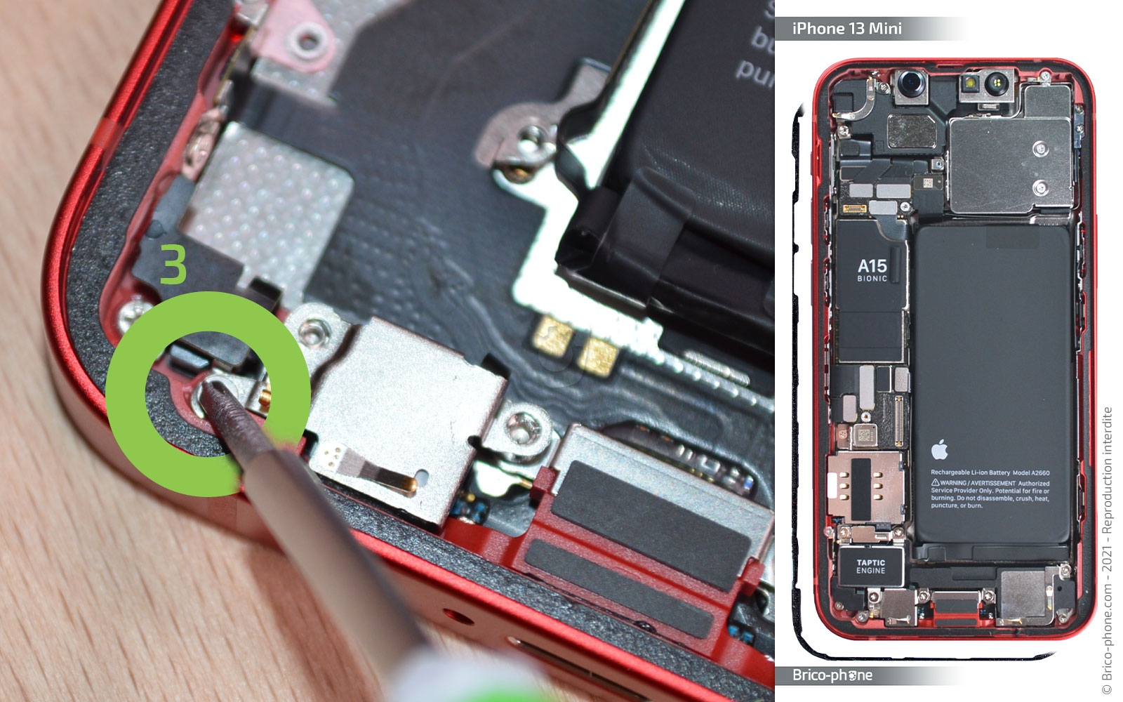 Changement du connecteur de charge sur iPhone 13 Mini photo 1