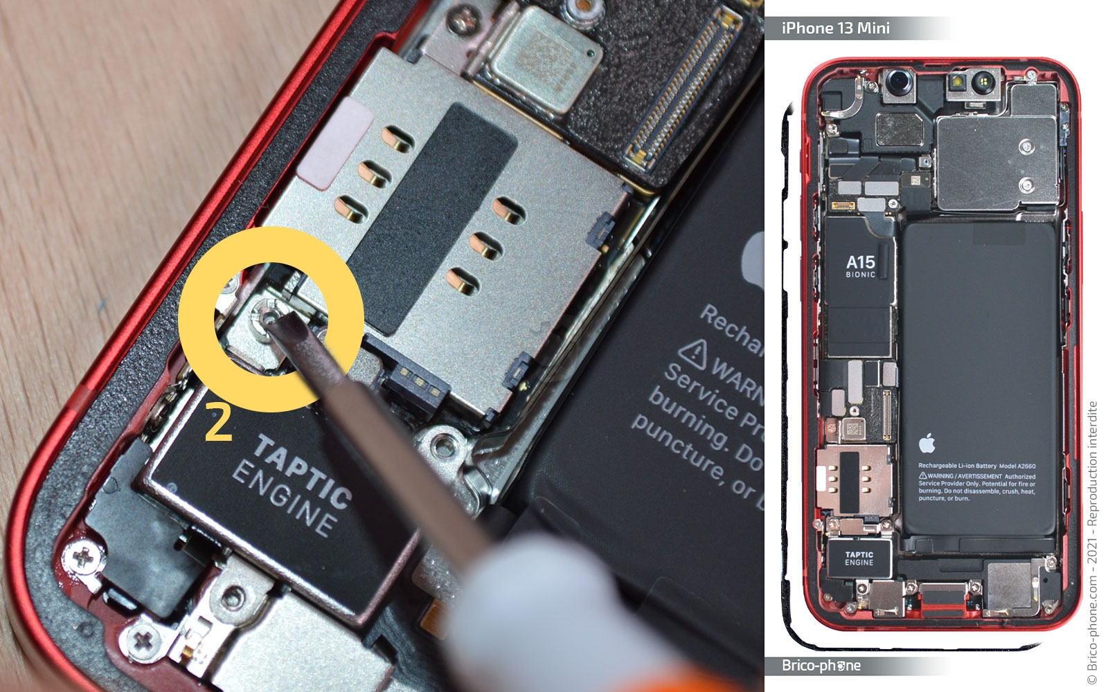 Changement du connecteur de charge sur iPhone 13 Mini photo 1