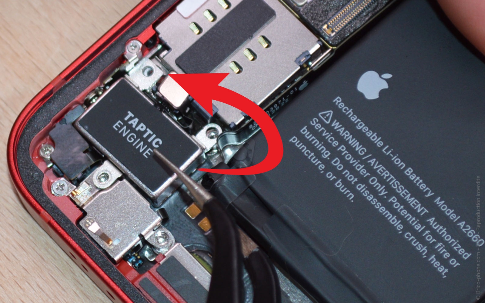 Changement du connecteur de charge sur iPhone 13 Mini photo 3