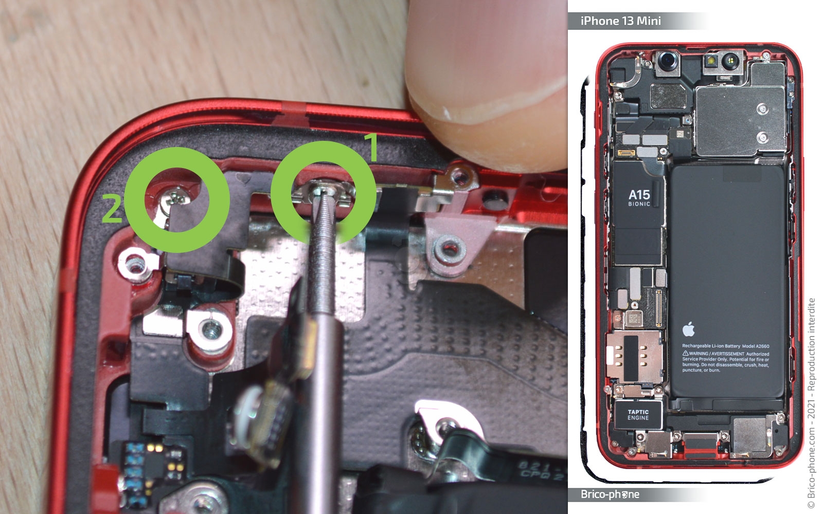 Changement du connecteur de charge sur iPhone 13 Mini photo 2