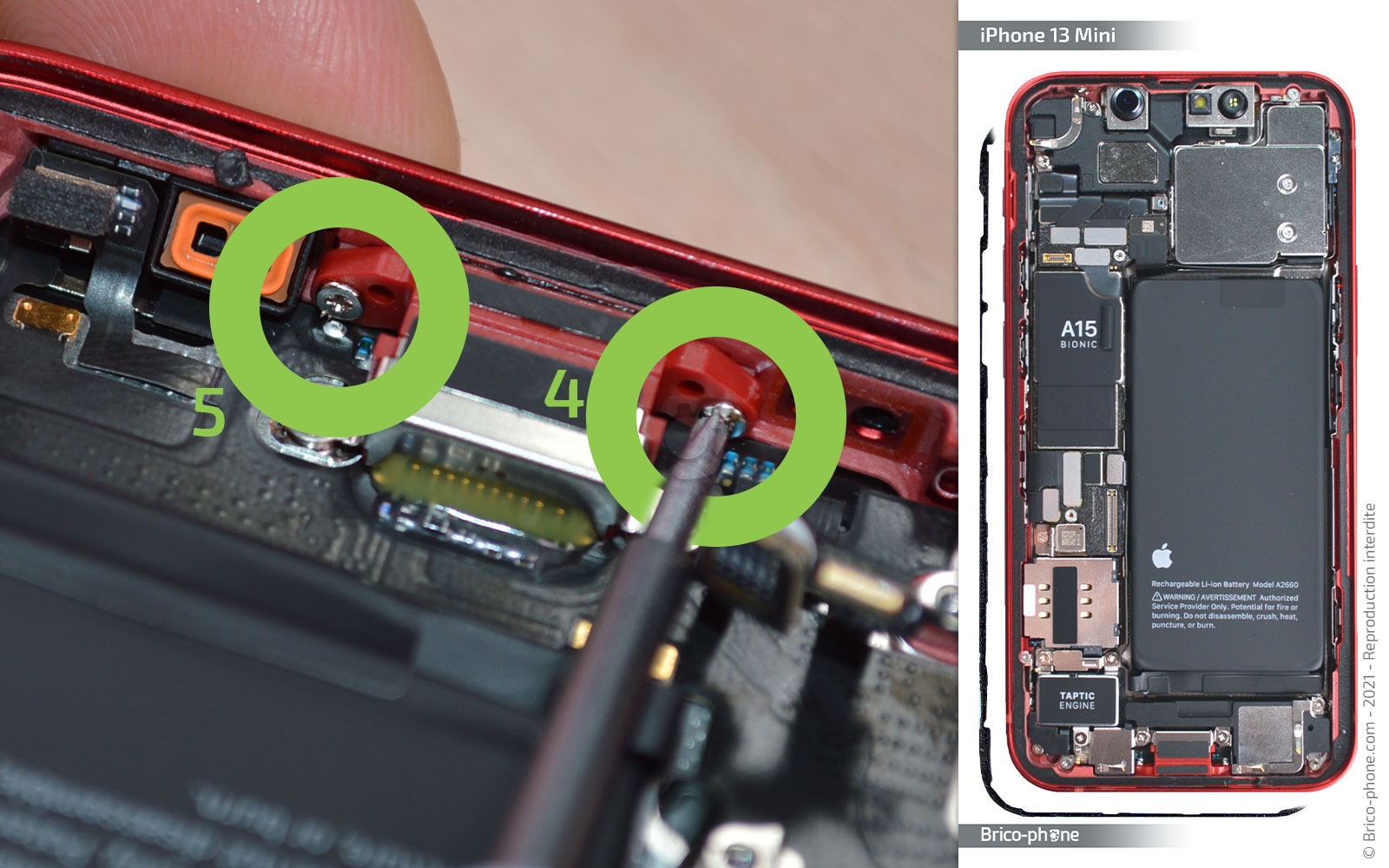 Changement du connecteur de charge sur iPhone 13 Mini photo 3