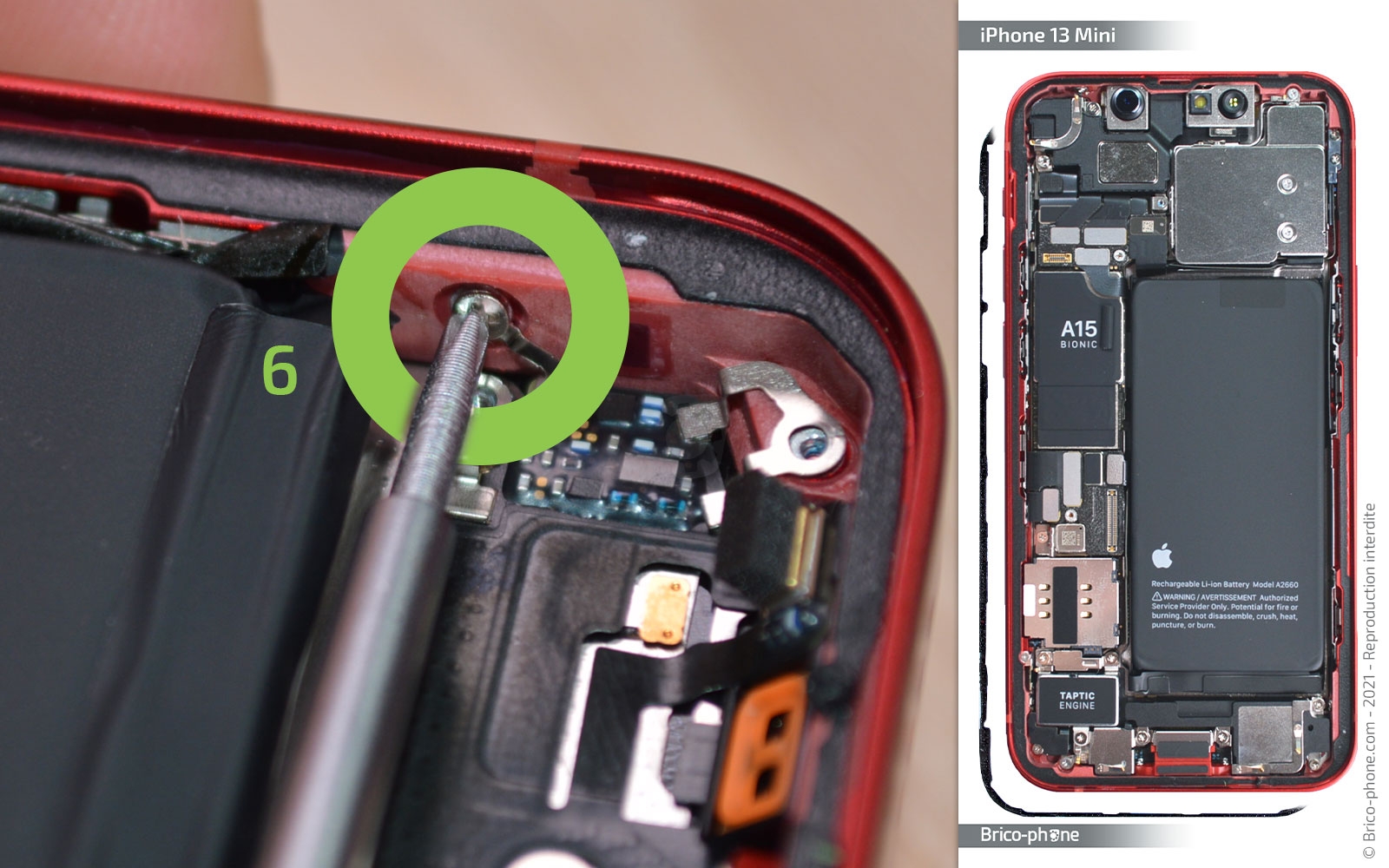 Changement du connecteur de charge sur iPhone 13 Mini photo 4