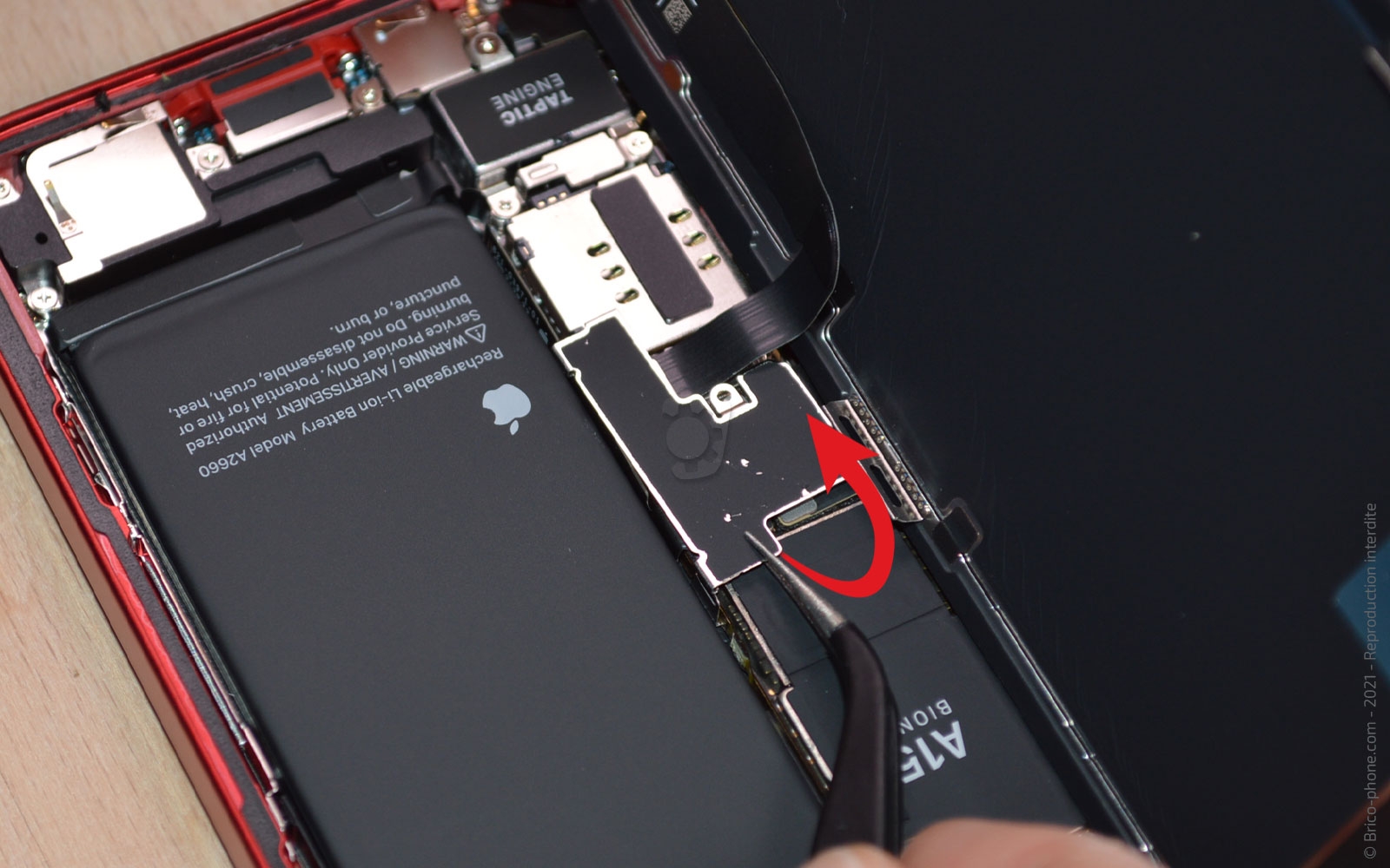 Changement du connecteur de charge sur iPhone 13 Mini photo 2