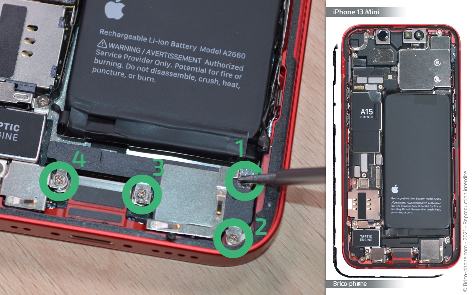 Changement du haut-parleur externe sur iPhone 13 Mini photo 1
