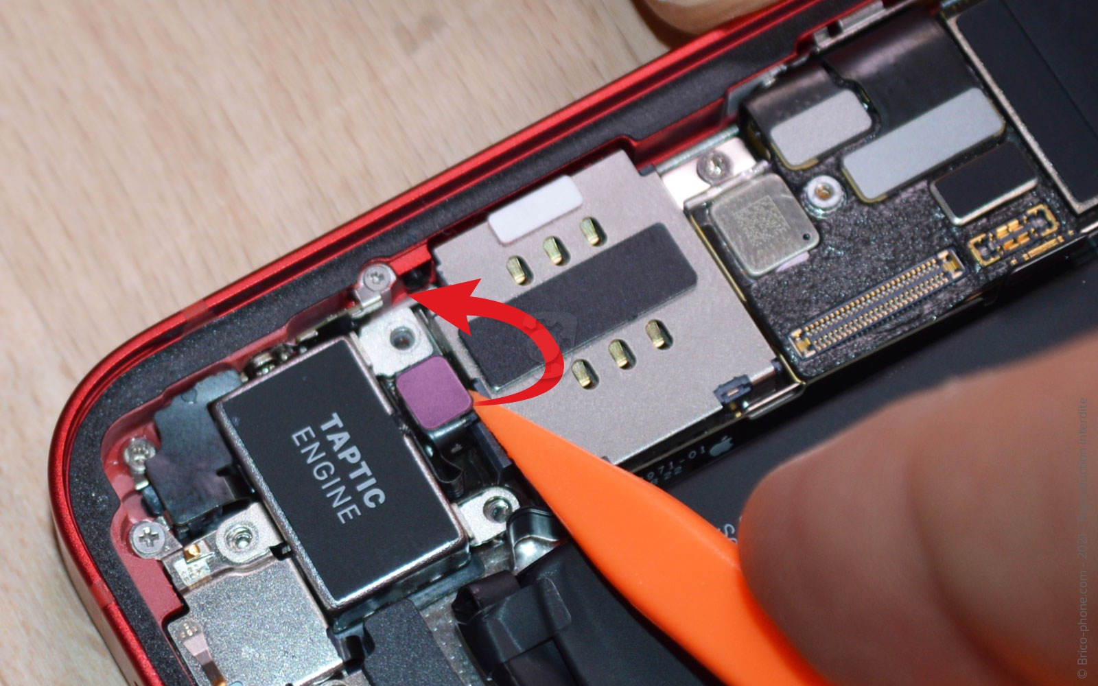 Changement du vibreur (Taptic Engine) sur iPhone 13 Mini photo 2