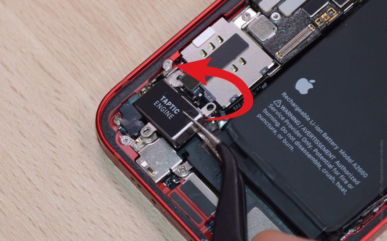 Changement du vibreur (Taptic Engine) sur iPhone 13 Mini photo 3