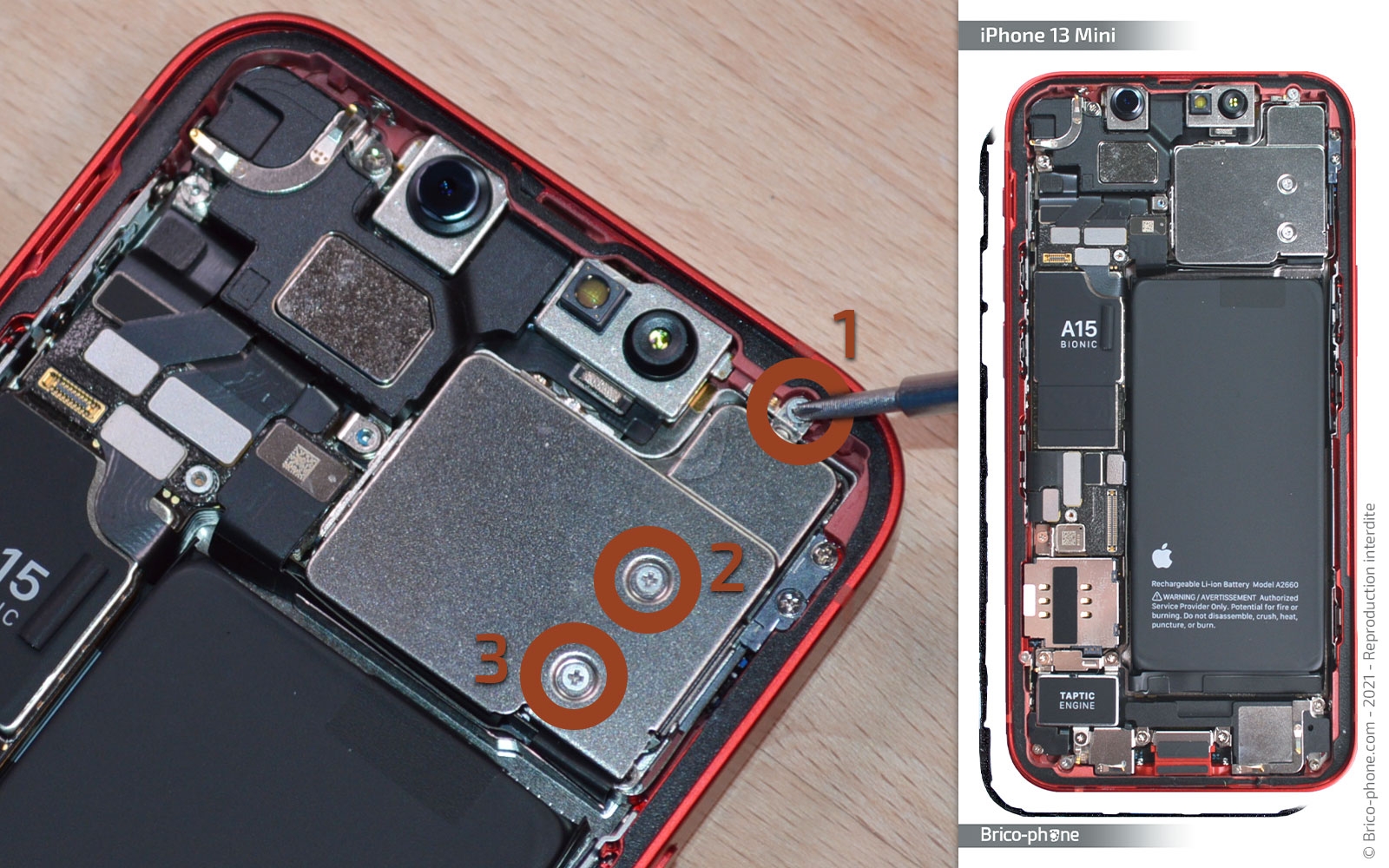 Changement des caméras arrière sur iPhone 13 Mini photo 1