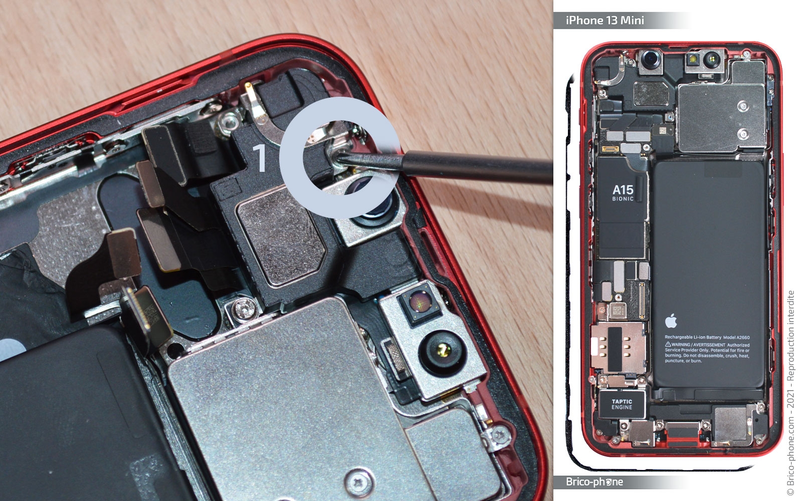 Changement haut-parleur interne et/ou caméra avant sur iPhone 13 Mini photo 1