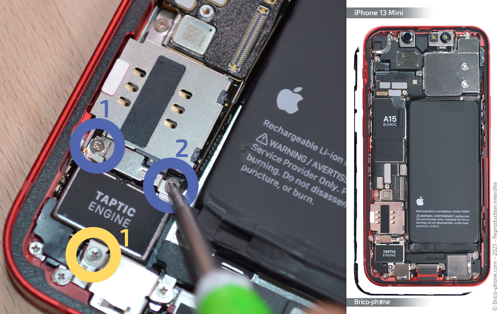 Changement haut-parleur interne et/ou caméra avant sur iPhone 13 Mini photo 1