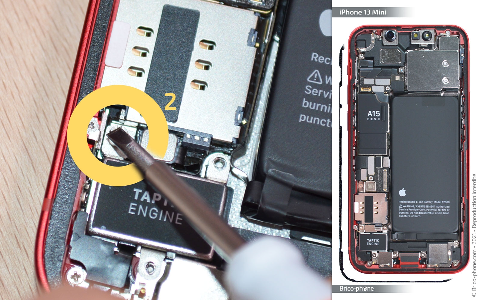 Changement haut-parleur interne et/ou caméra avant sur iPhone 13 Mini photo 1