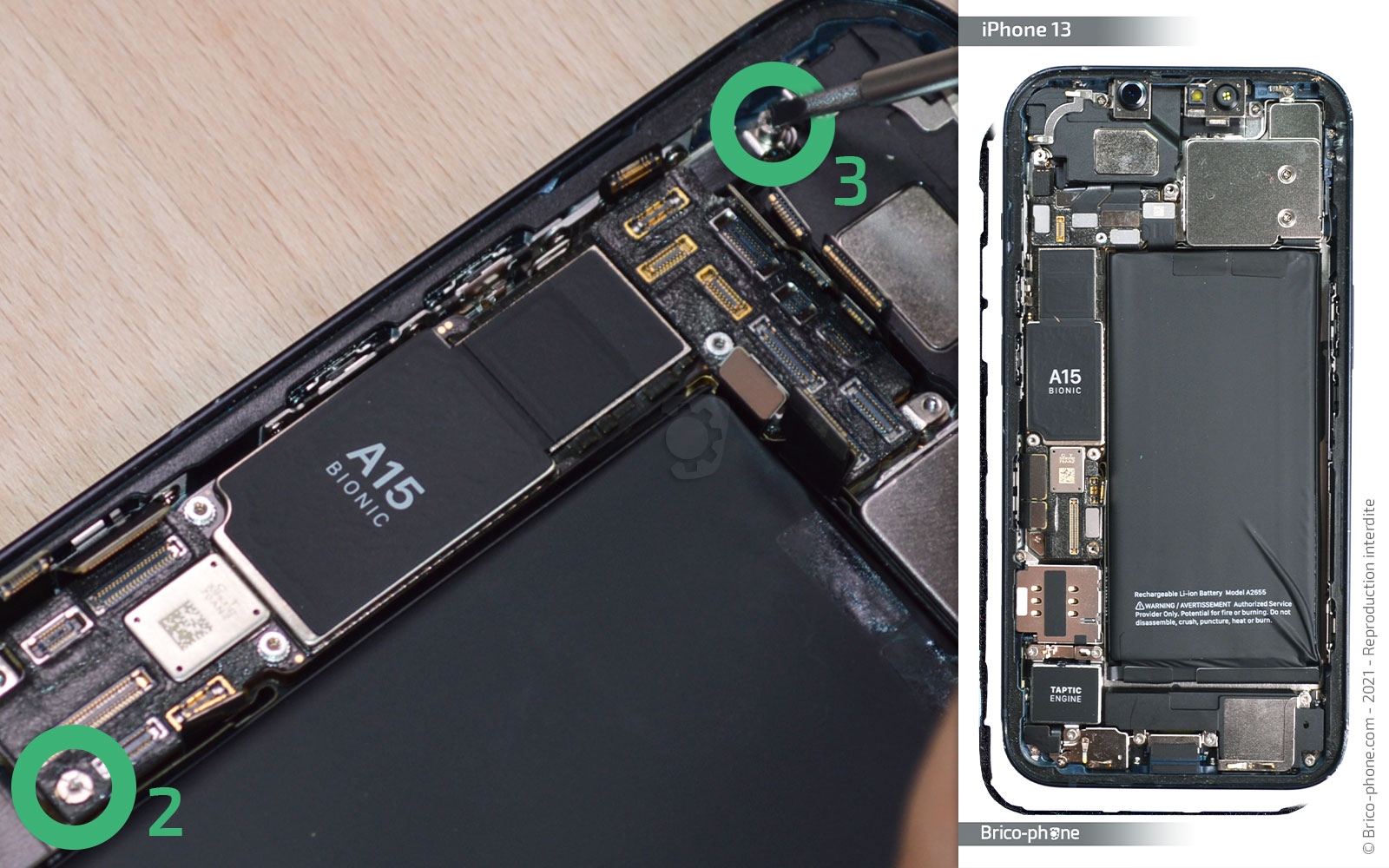 Changement du buzzer (HP interne) sur iPhone 13 photo 2