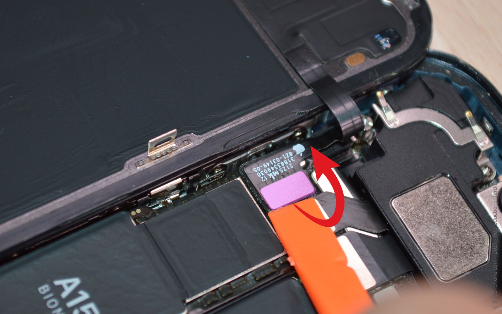 Changement du buzzer (HP interne) sur iPhone 13 photo 1