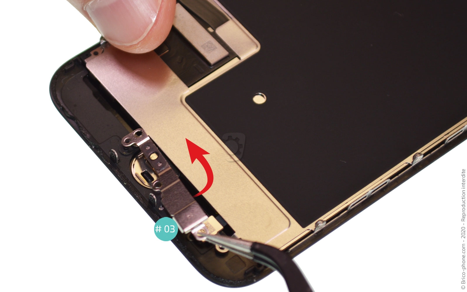 Démontage complet sur iPhone SE 2022 photo 3