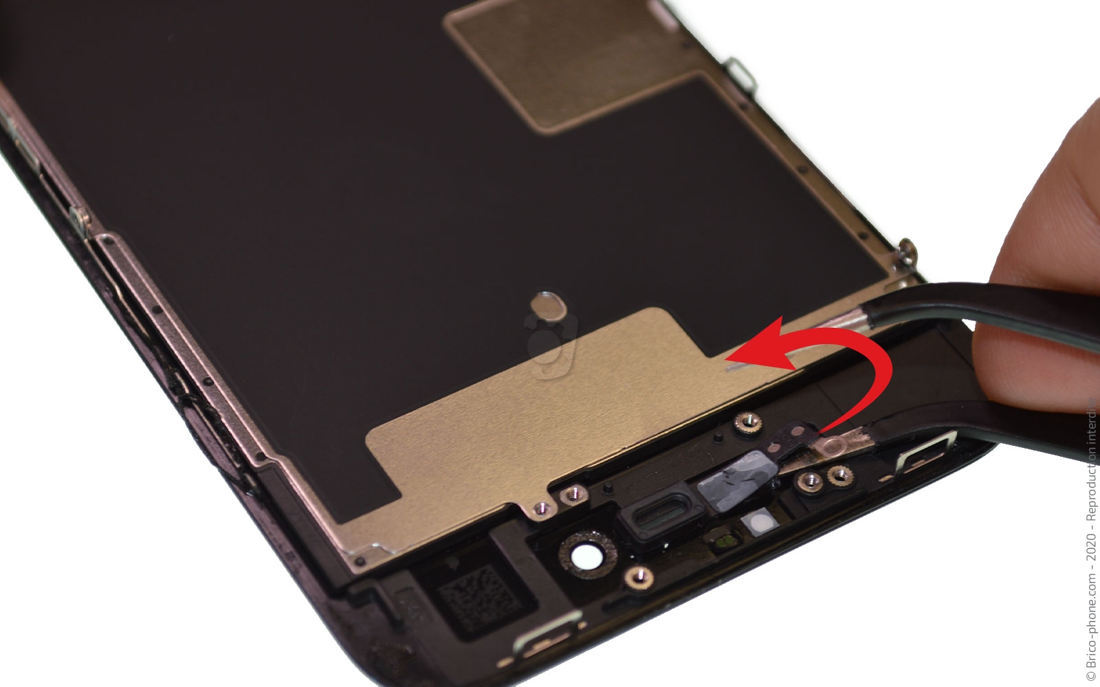 Démontage complet sur iPhone SE 2022 photo 4