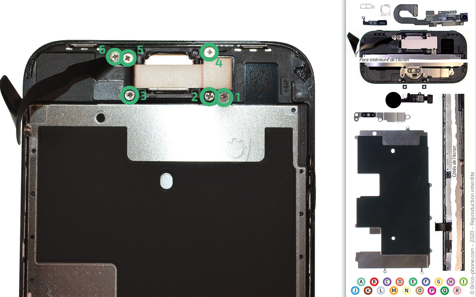 Démontage complet sur iPhone SE 2022 photo 1