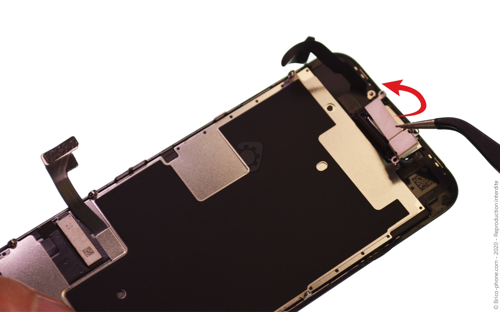 Démontage complet sur iPhone SE 2022 photo 2