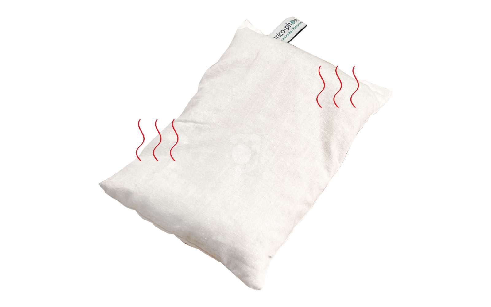 Démontage complet sur iPhone SE 2022 photo 2