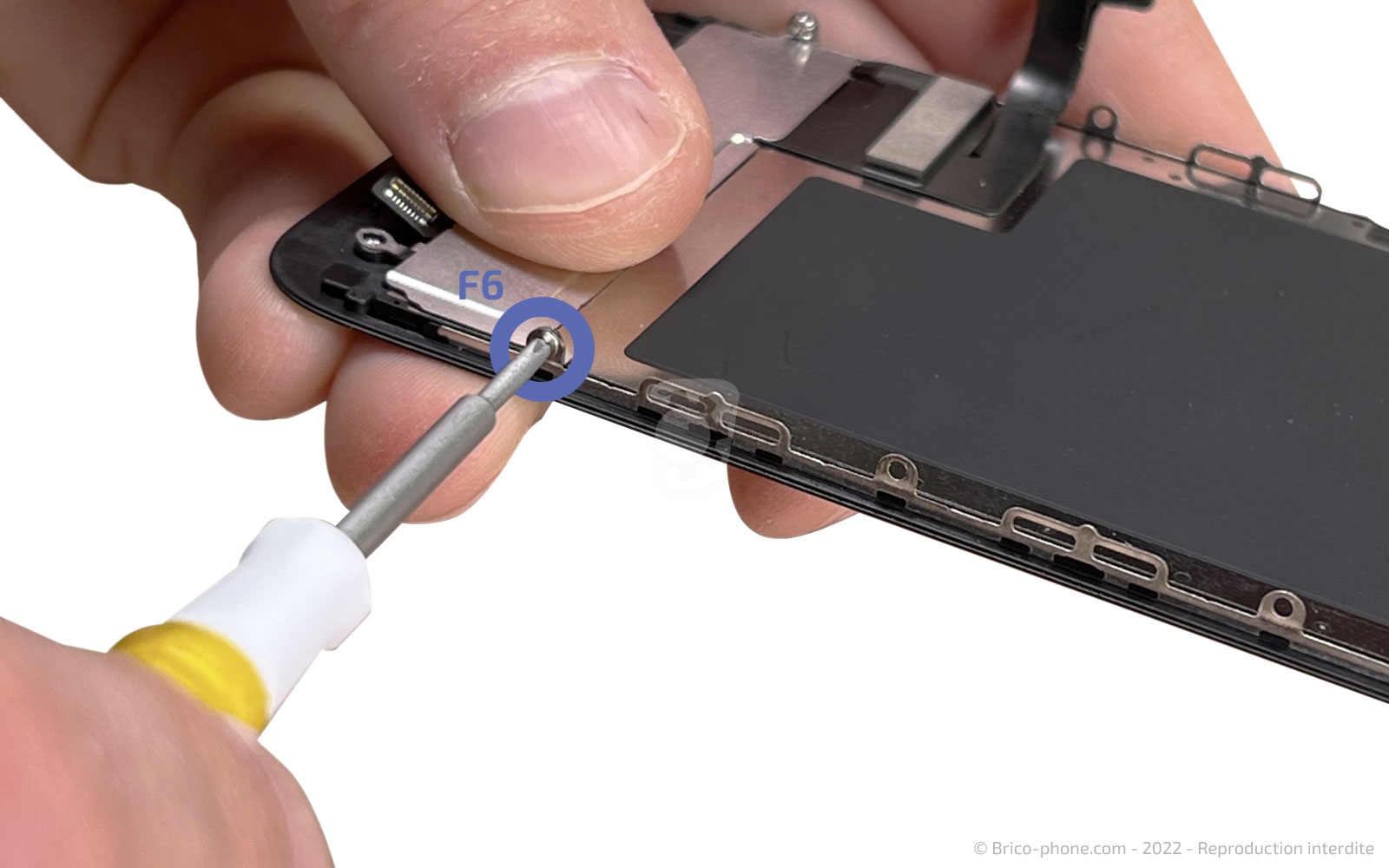 Démontage complet sur iPhone SE 2022 photo 1