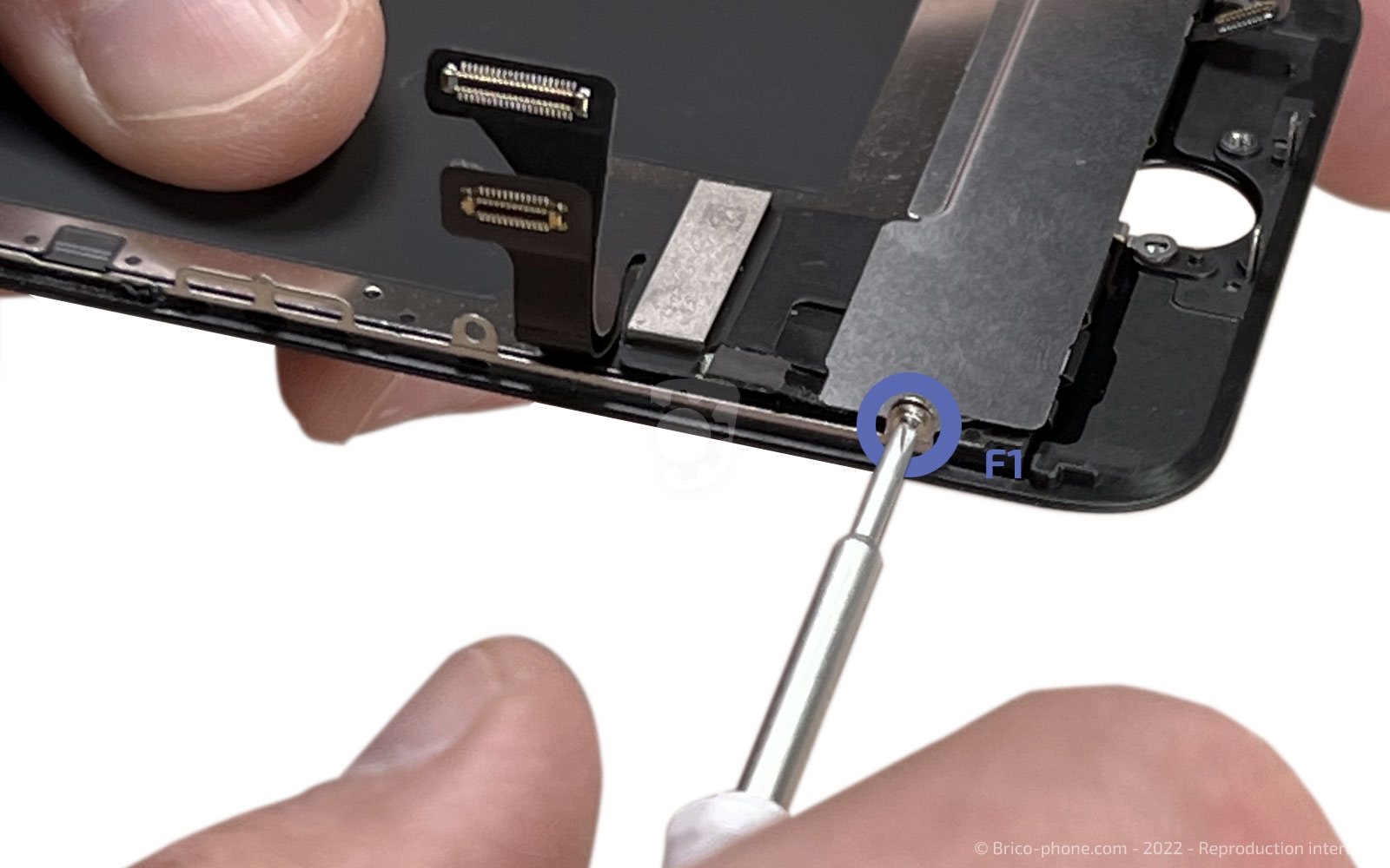 Démontage complet sur iPhone SE 2022 photo 2