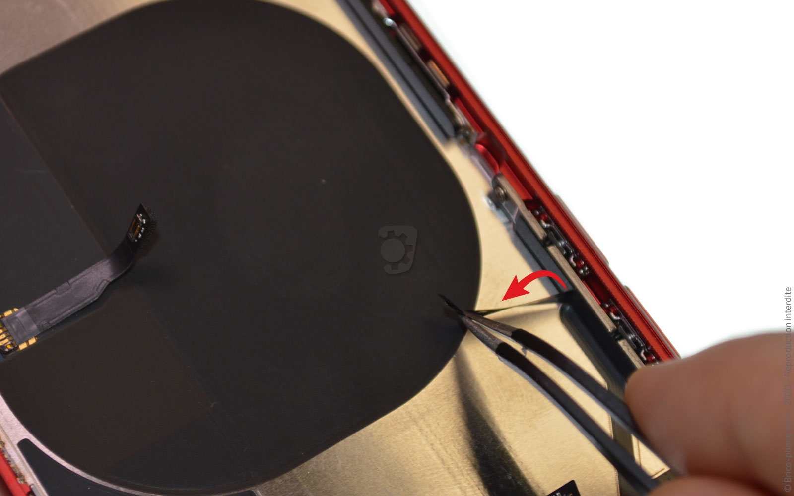 Démontage complet sur iPhone SE 2022 photo 1