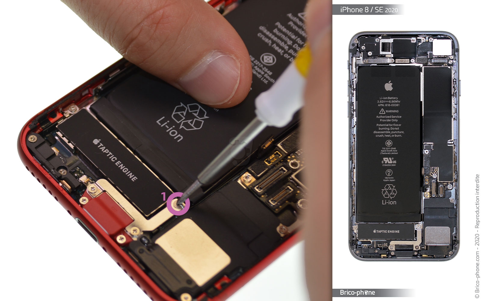 Démontage complet sur iPhone SE 2022 photo 1