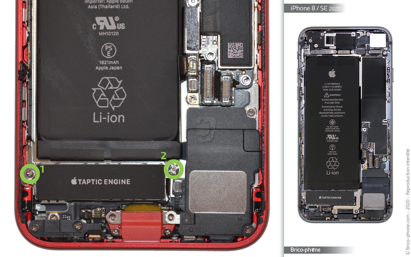 Démontage complet sur iPhone SE 2022 photo 1