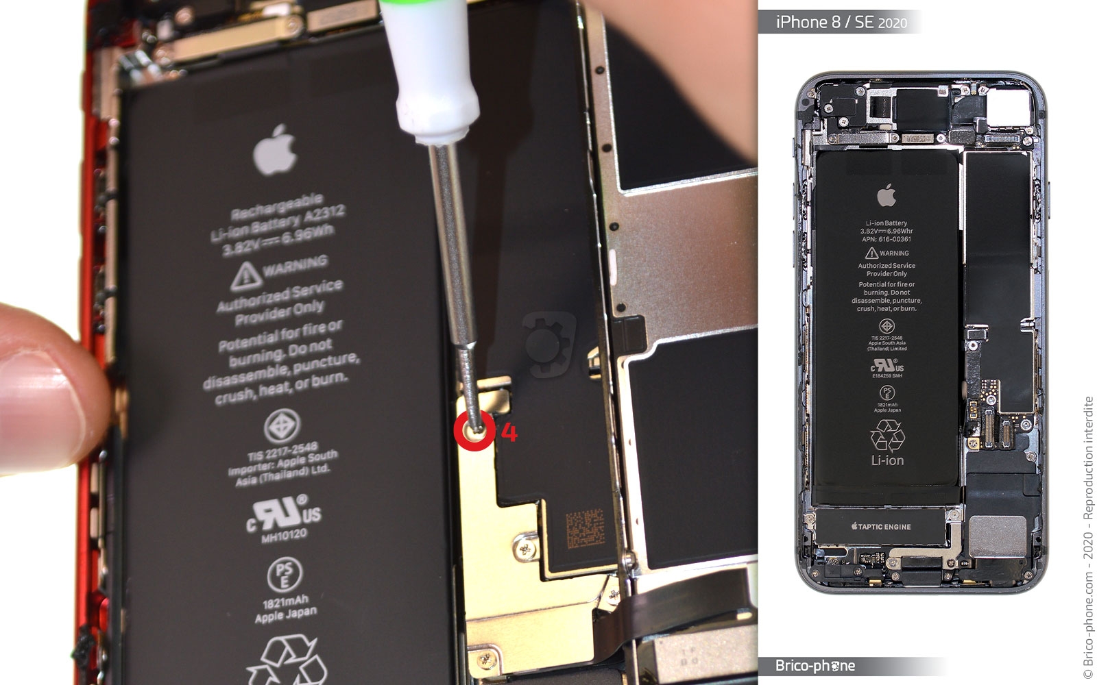 Remplacer l'écran (vitre et LCD)  sur iPhone SE 2022 photo 2