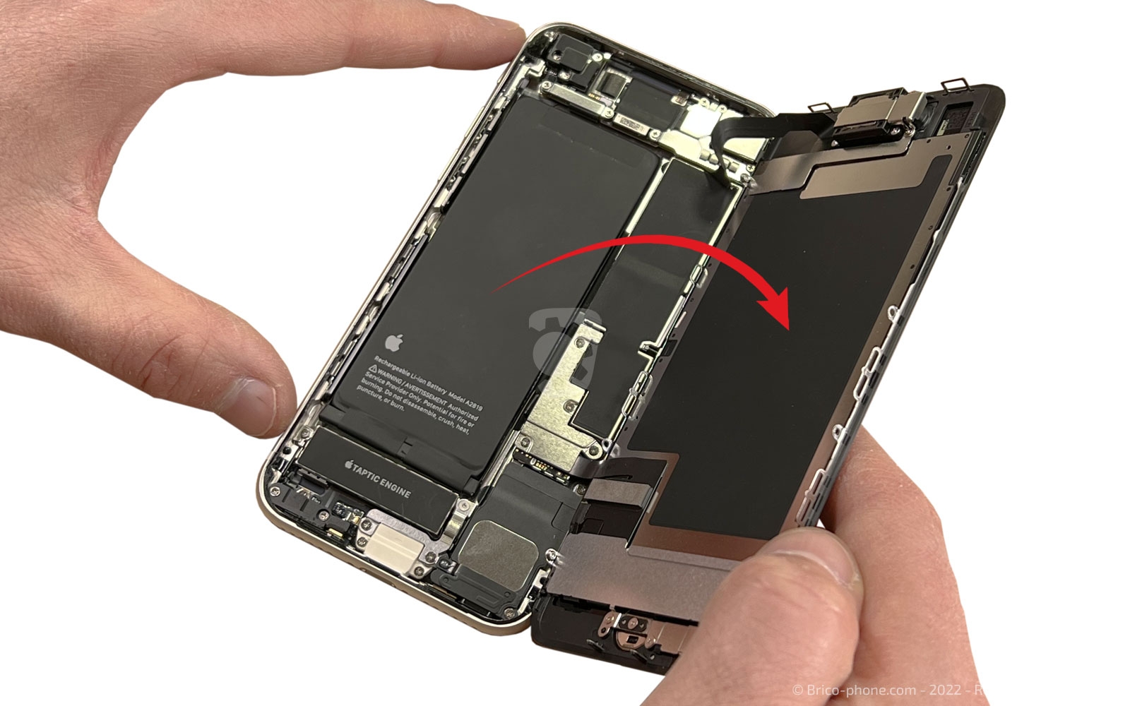 Remplacer l'écran (vitre et LCD)  sur iPhone SE 2022 photo 1