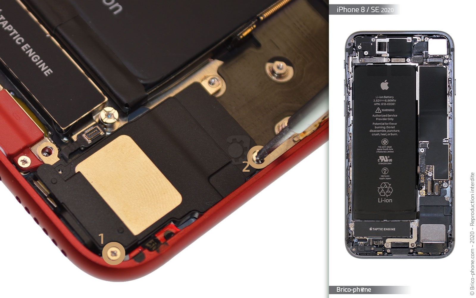 Remplacer le connecteur de charge  sur iPhone SE 2022 photo 1