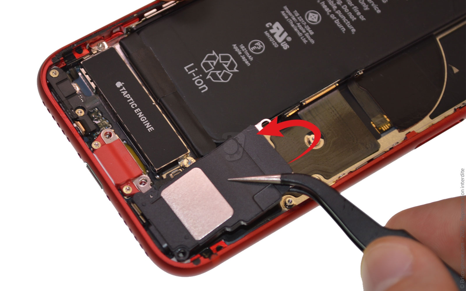 Remplacer le connecteur de charge  sur iPhone SE 2022 photo 2