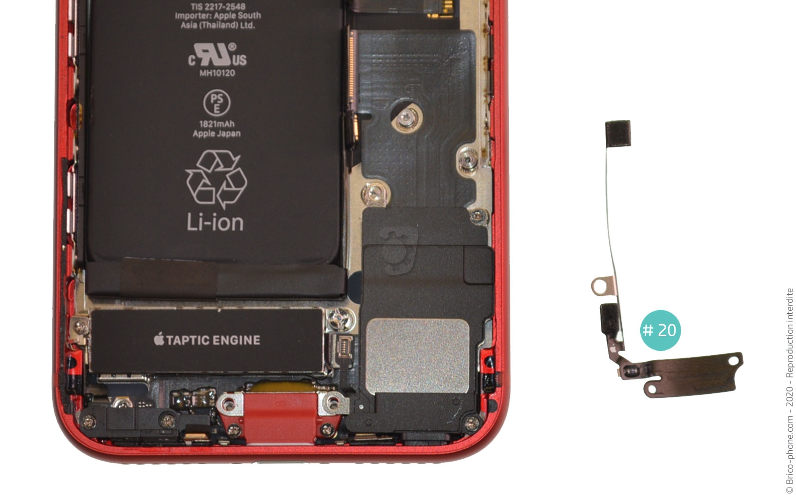 Remplacer le connecteur de charge  sur iPhone SE 2022 photo 3