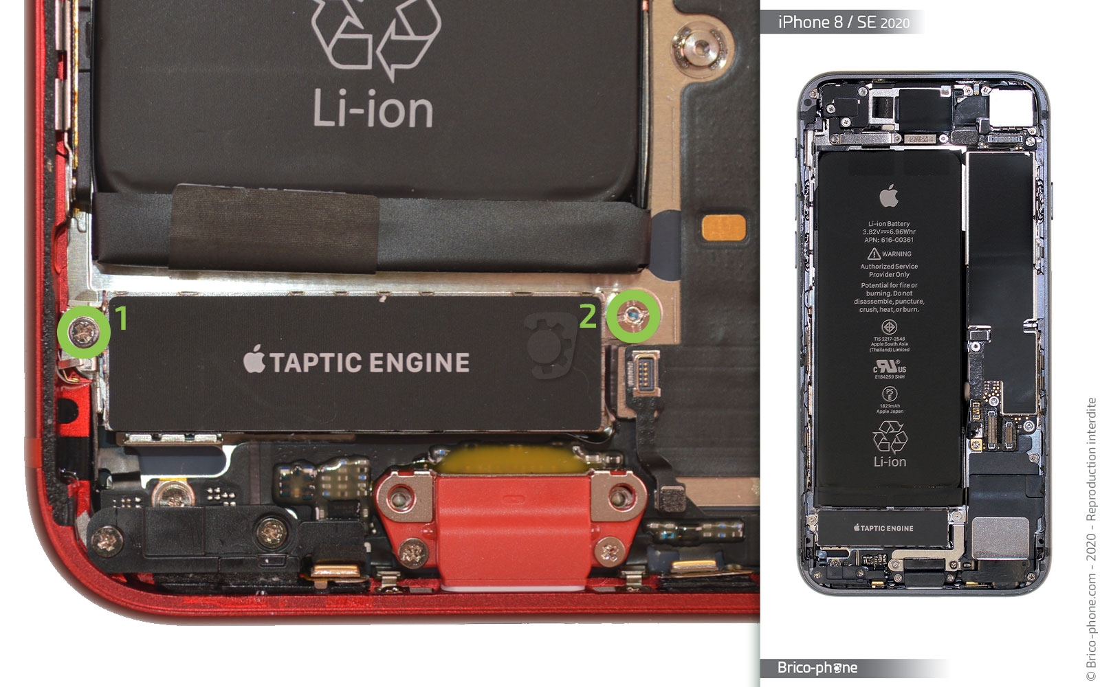 Remplacer le connecteur de charge  sur iPhone SE 2022 photo 1