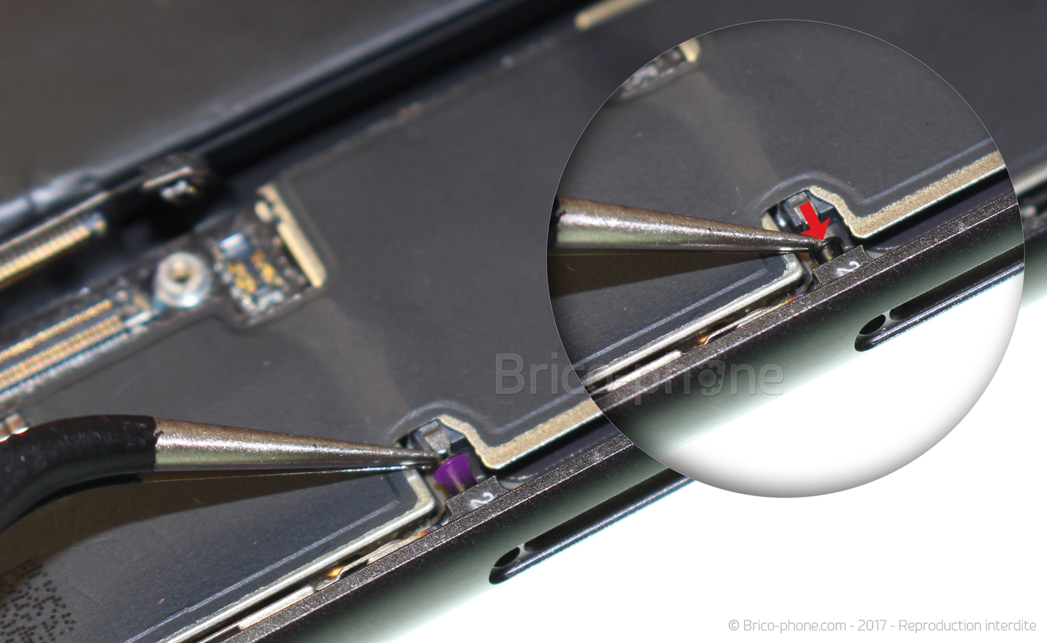 Remplacer le connecteur de charge  sur iPhone SE 2022 photo 1