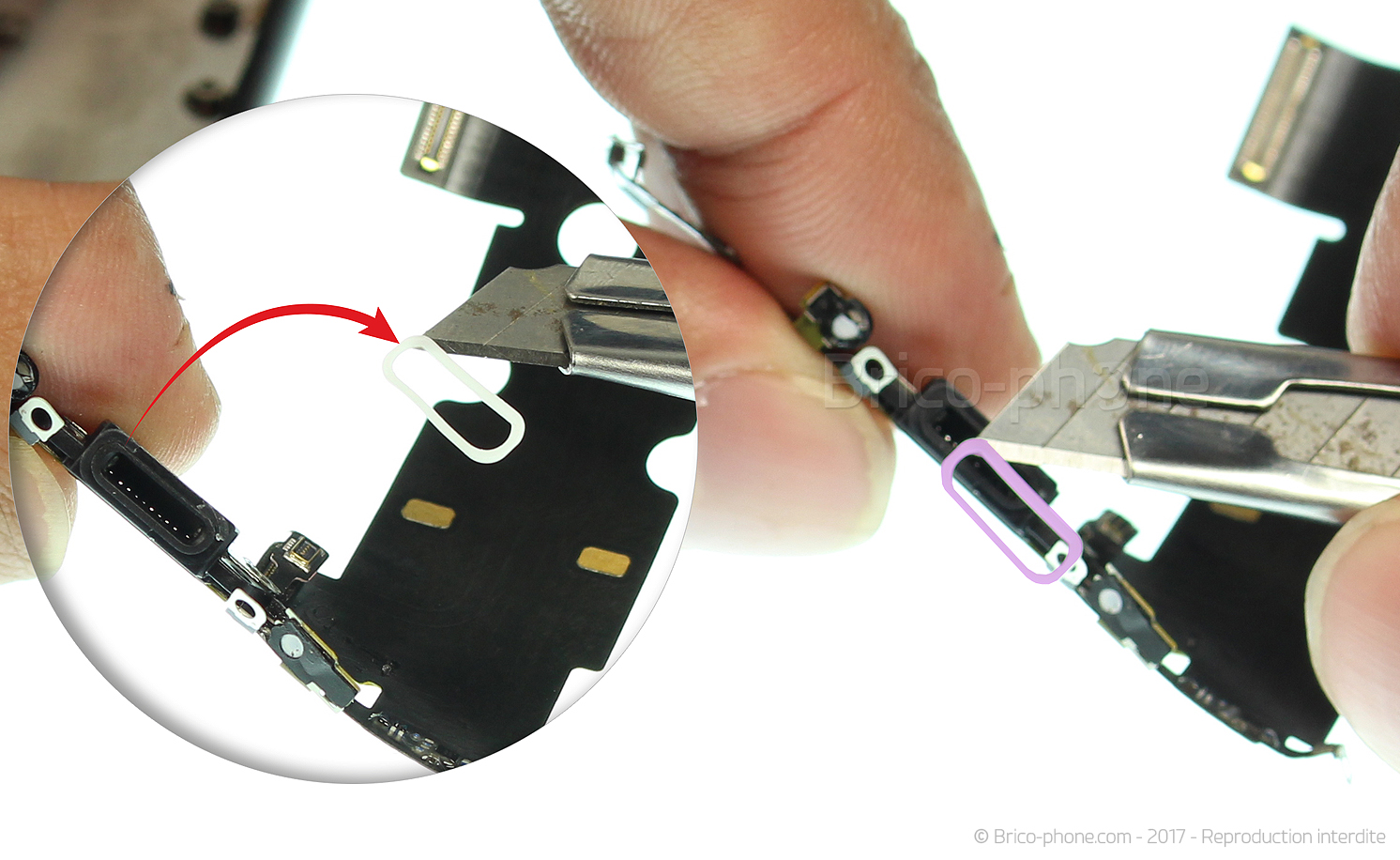 Remplacer le connecteur de charge  sur iPhone SE 2022 photo 2