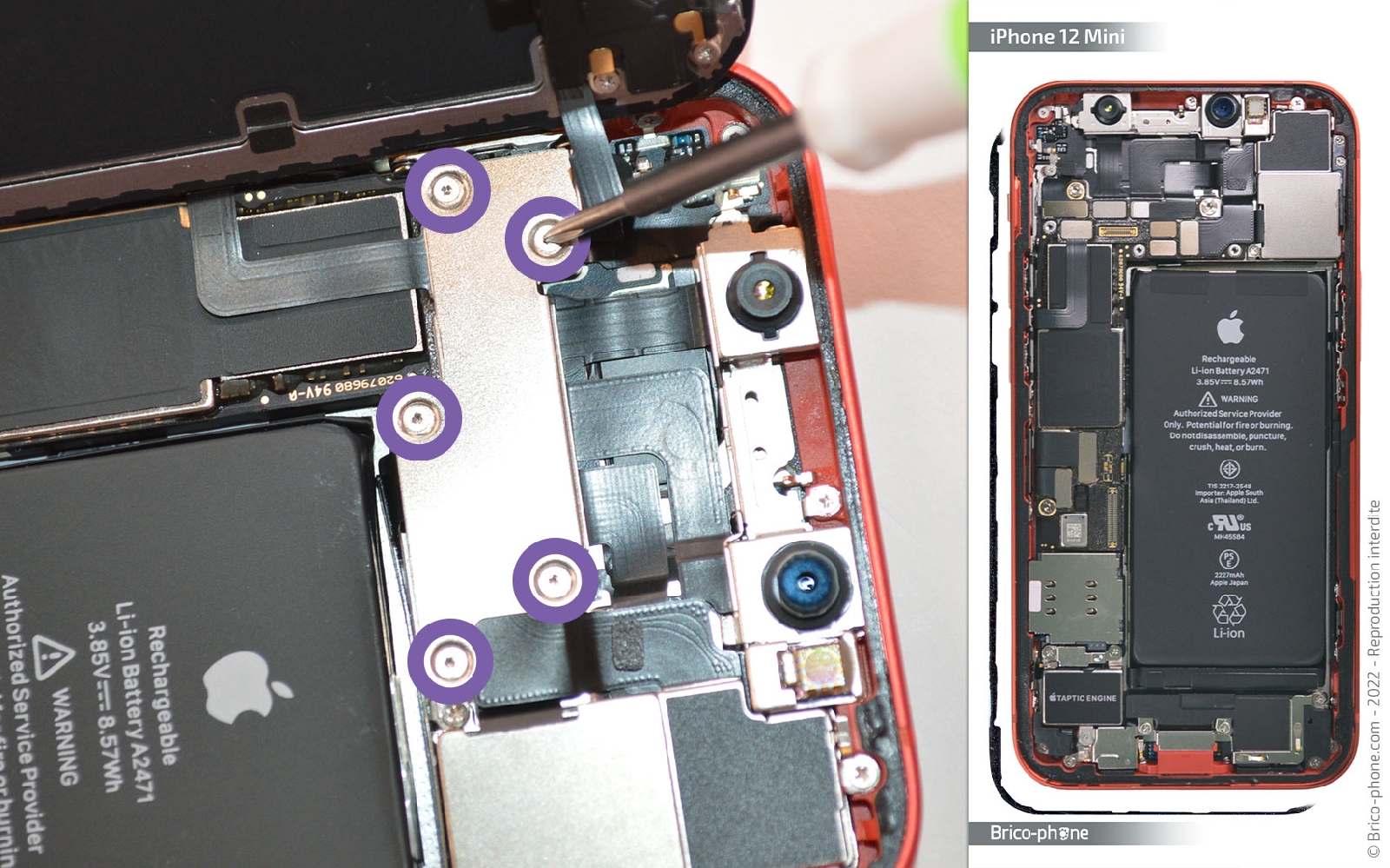 Comment remplacer la caméra Face ID  sur iPhone 12 Mini photo 1