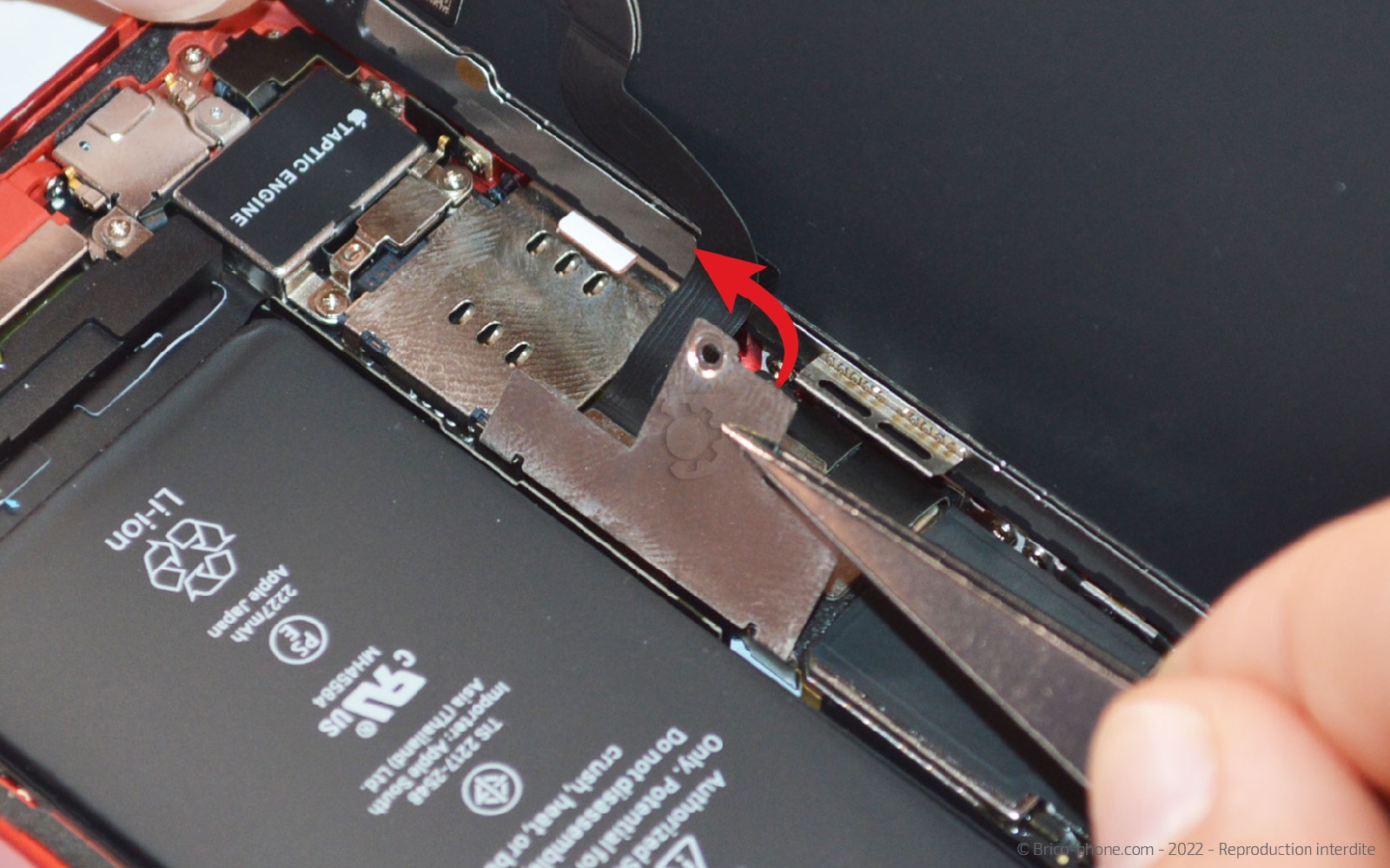 Comment changer le châssis complet sur iPhone 12 Mini photo 2