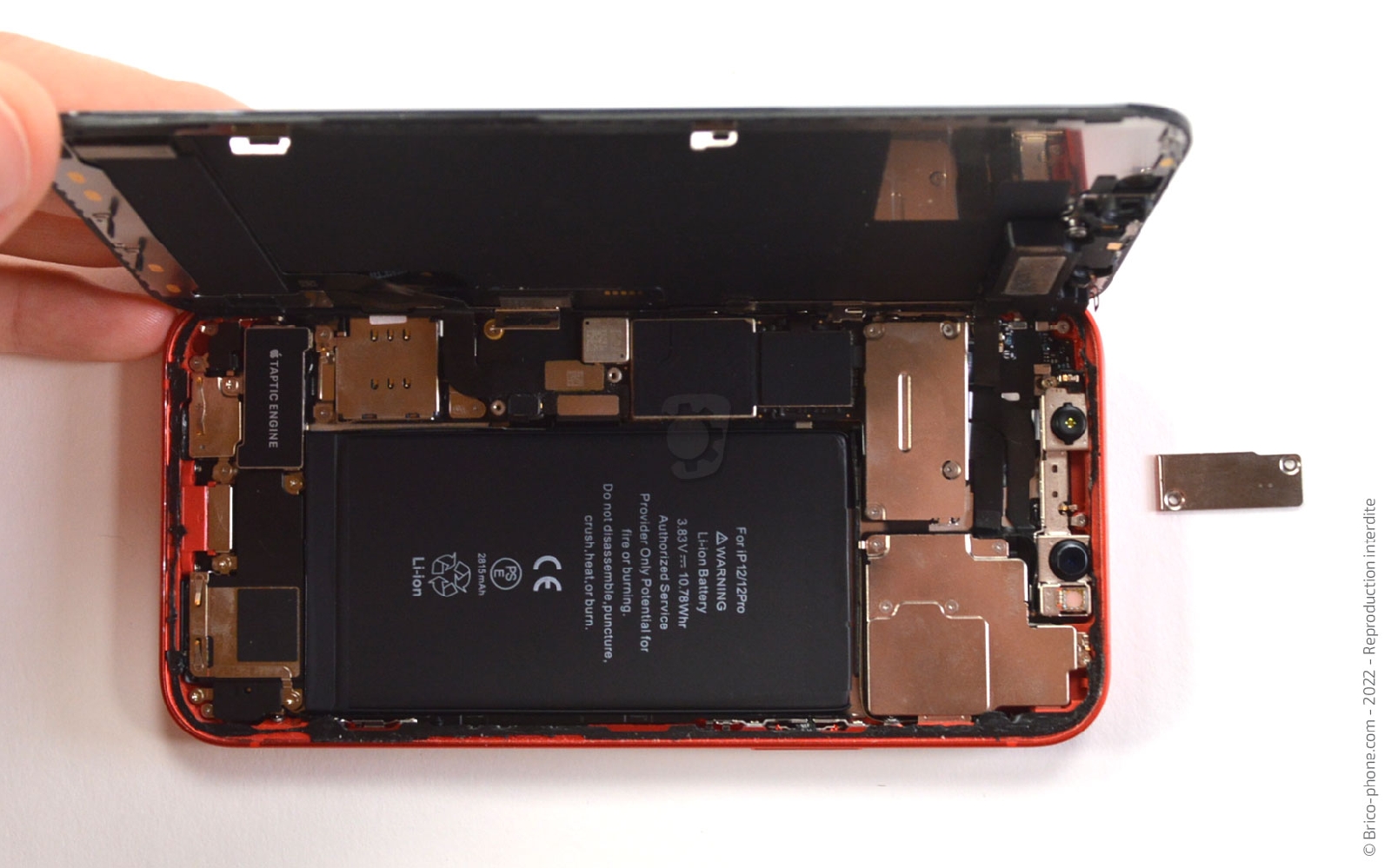 Comment remplacer la coque arrière sur iPhone 12 photo 3